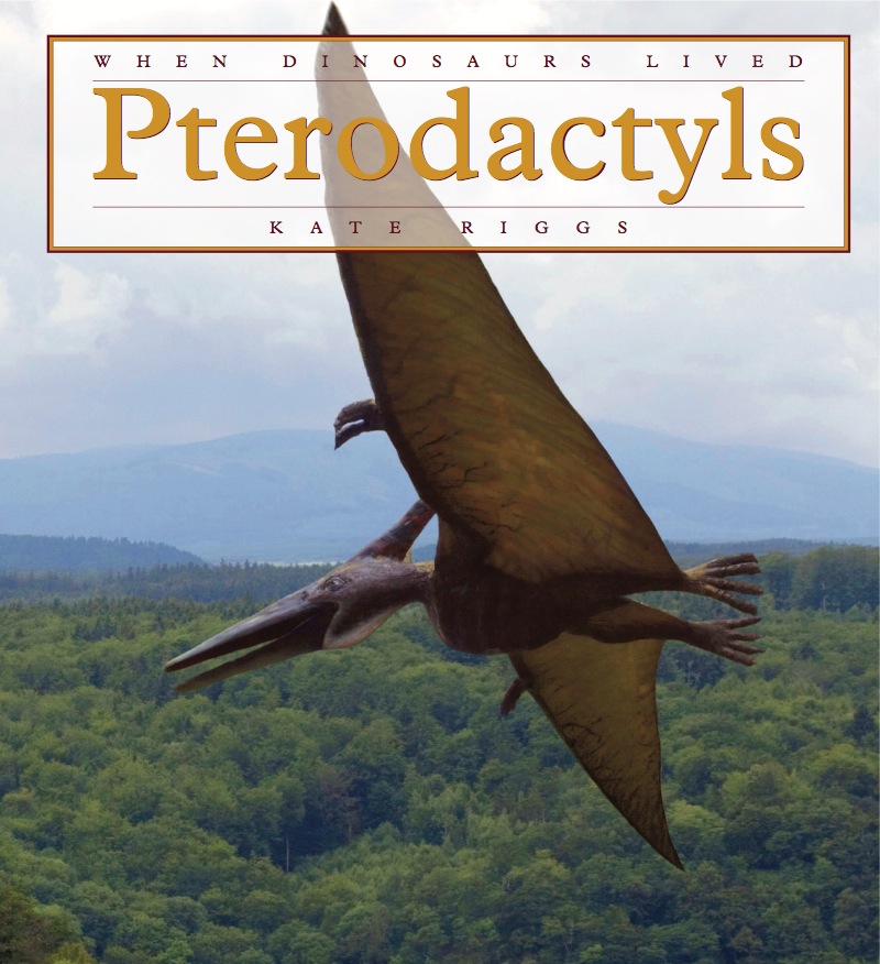 Pterodactyls book cover
