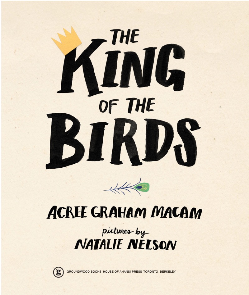 The King of the Birds book cover