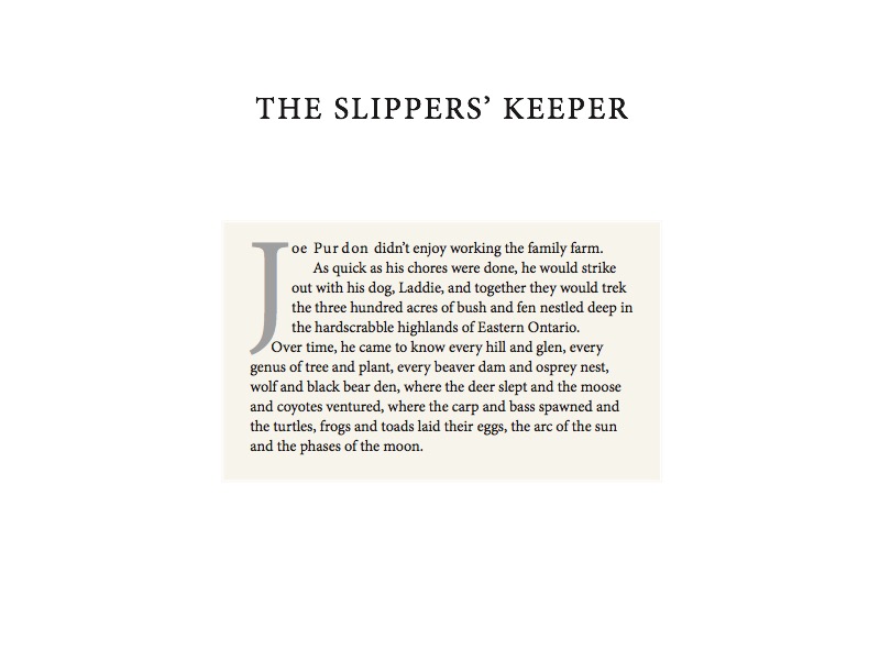 The Slippers' Keeper book cover