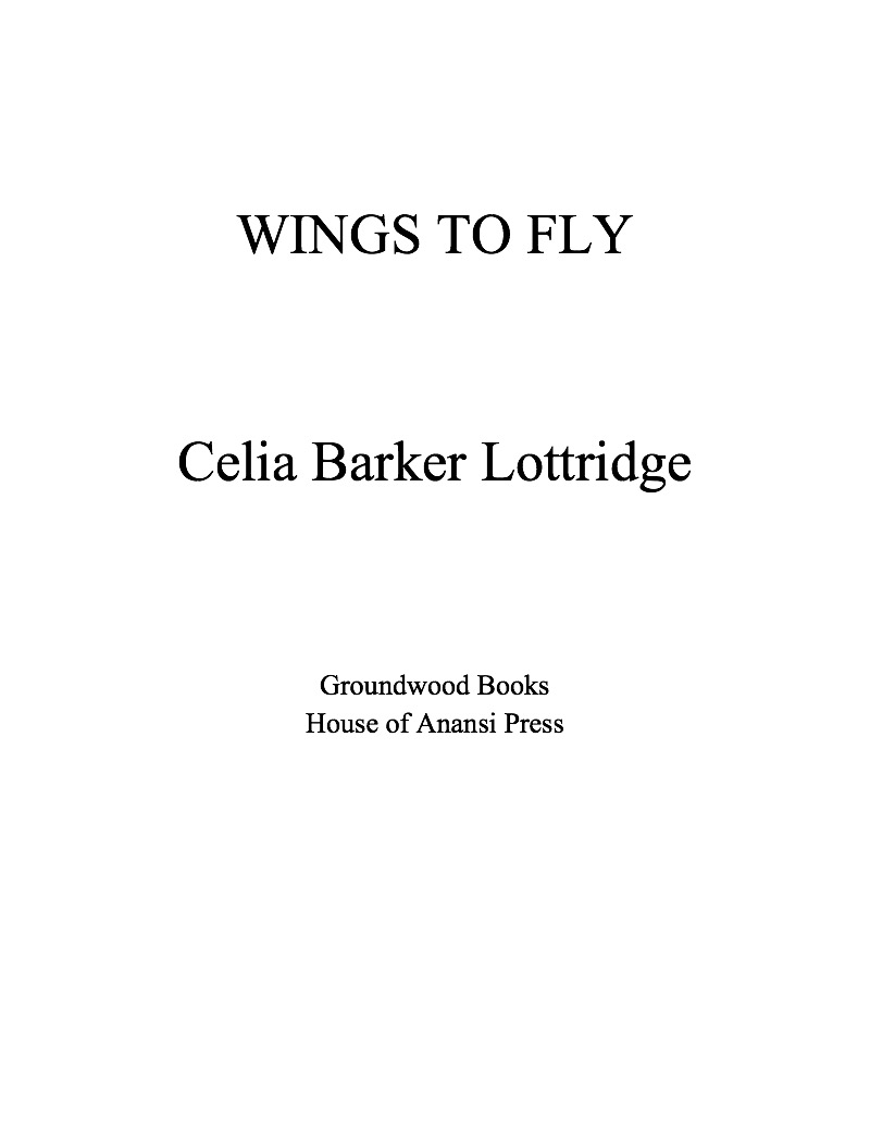 Wings to Fly book cover