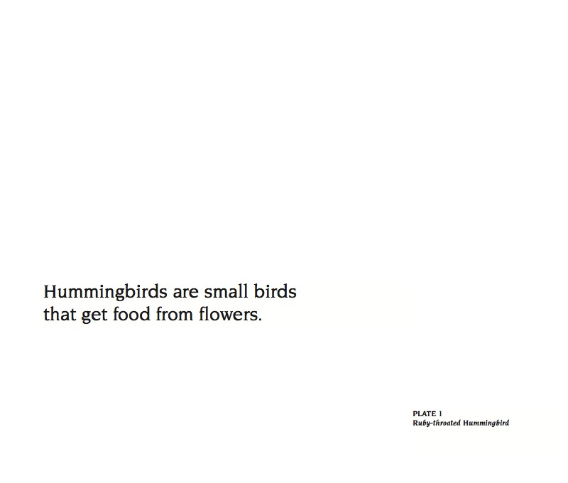 About Hummingbirds — page 1