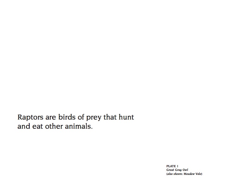 About Raptors — page 1