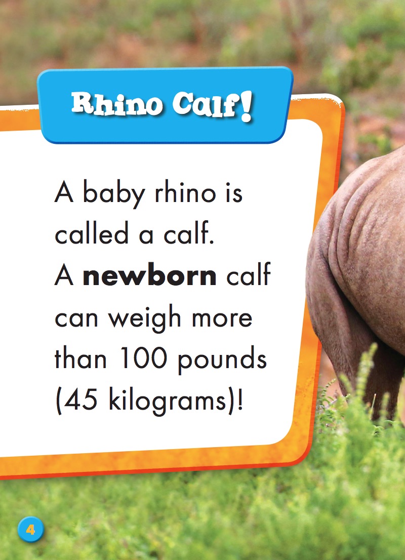 Super Cute! Baby Rhinos — page 1
