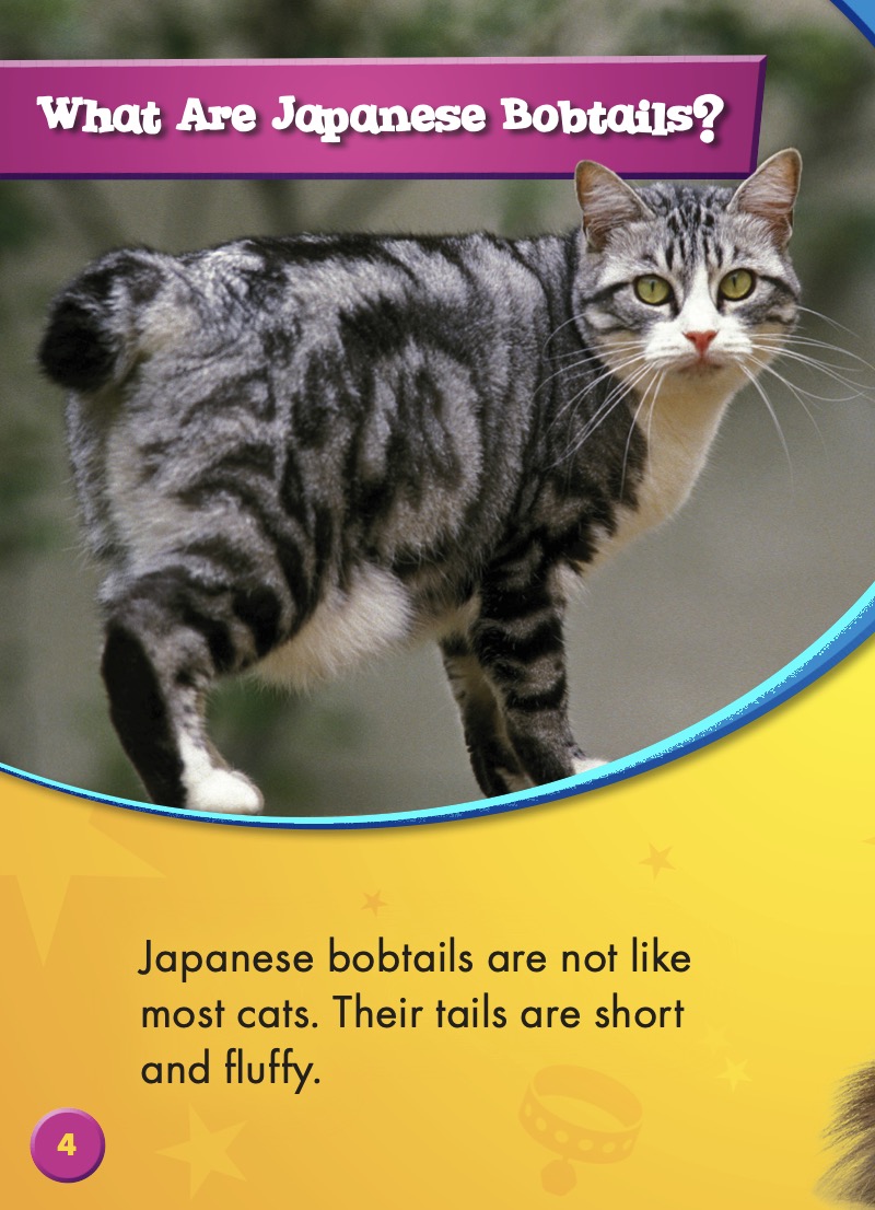 Cool Cats: Japanese Bobtails — page 1