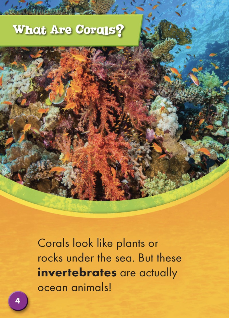 Ocean Life Up Close: Corals — page 1