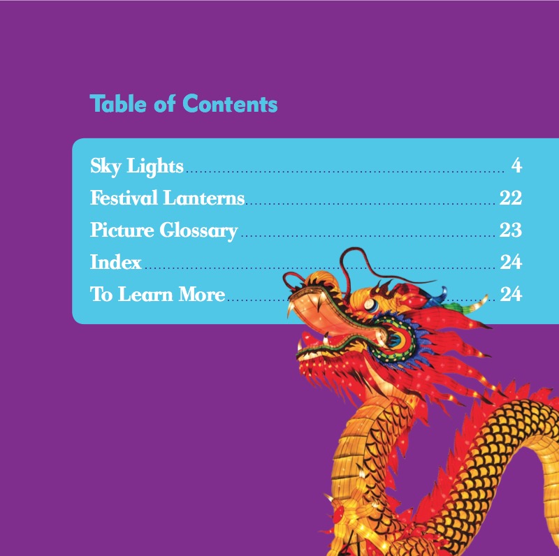 Festivals: Lantern Festival book cover