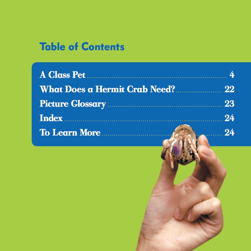 My First Pet: Hermit Crabs book cover