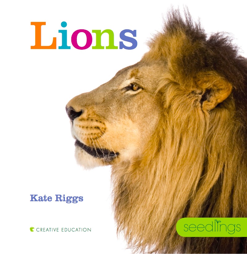Lions book cover