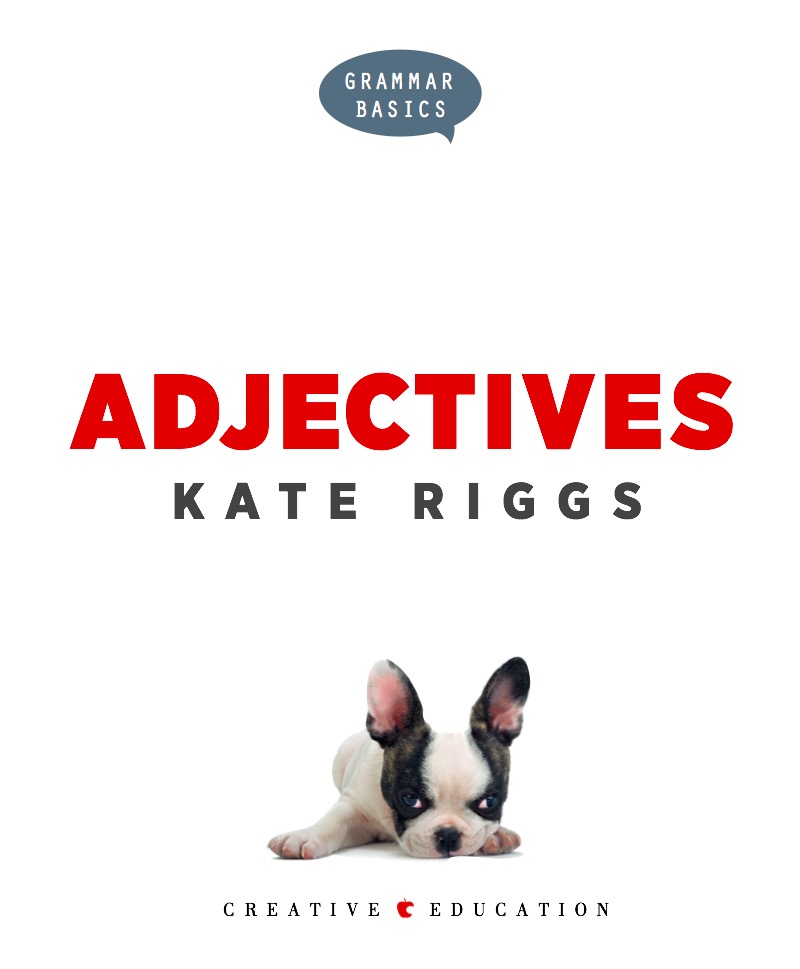 Adjectives book cover