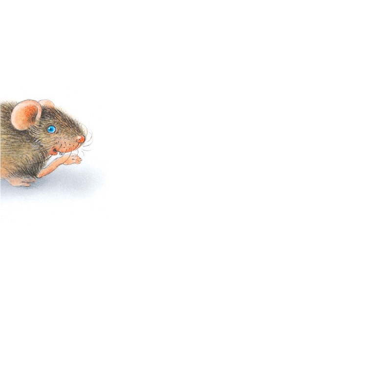 Mouse Books: The Wind — page 1
