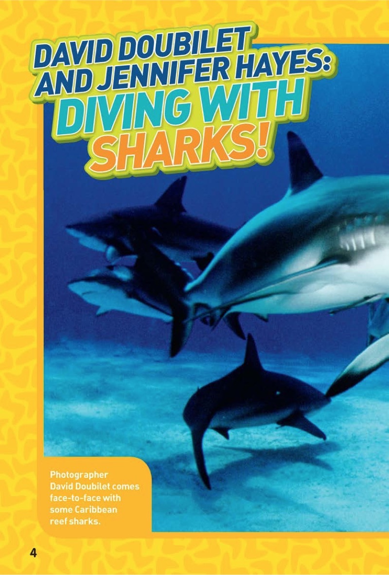 National Geographic Kids Chapters: Diving With Sharks! — page 1