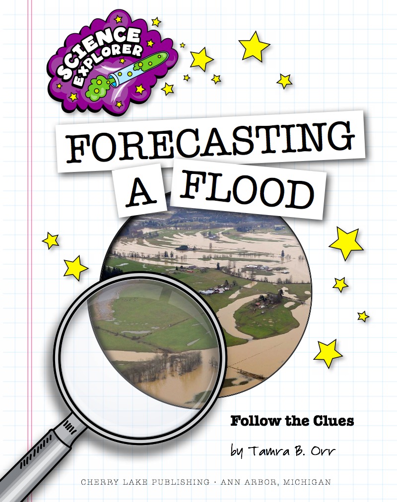 Forecasting a Flood book cover