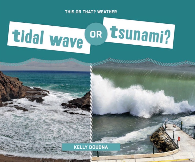 Tidal Wave or Tsunami? book cover