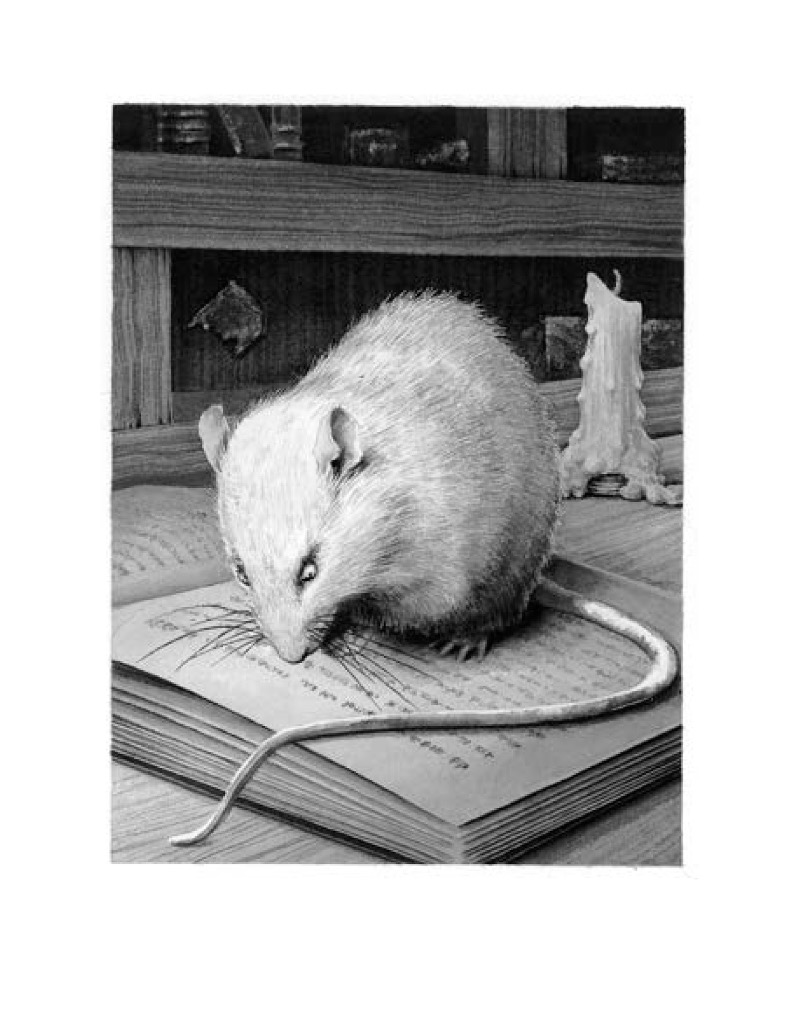 Walter: The Story of a Rat book cover