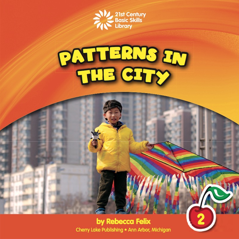Patterns In The City book cover