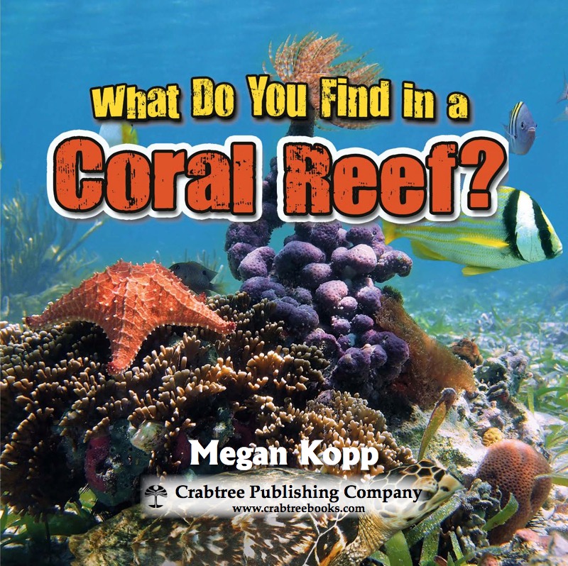 What Do You Find in a Coral Reef? book cover