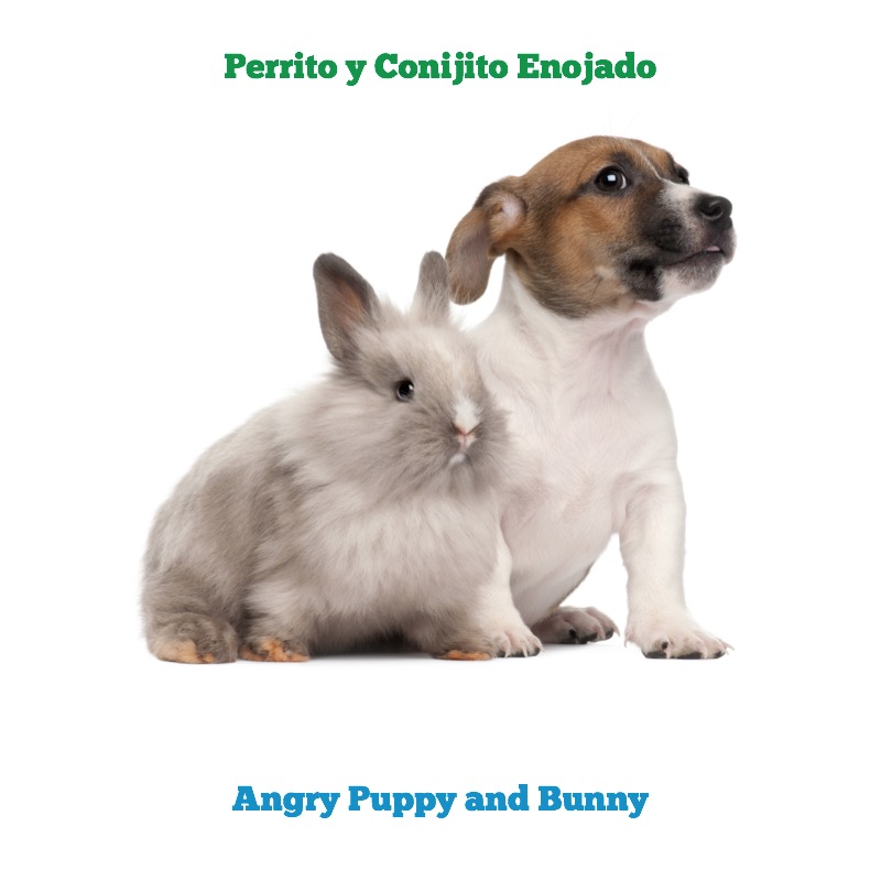 Bunny & Puppy / Conejito y Perrito — page 1