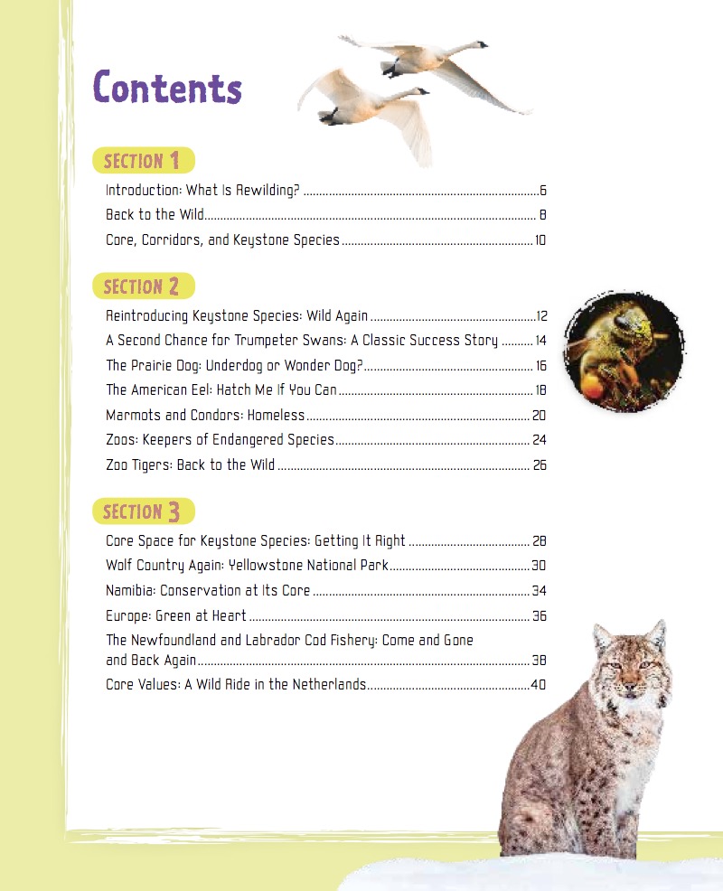 Rewilding: Giving Nature a Second Chance — page 1