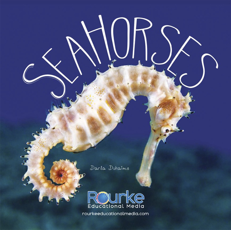 Sea Horses book cover