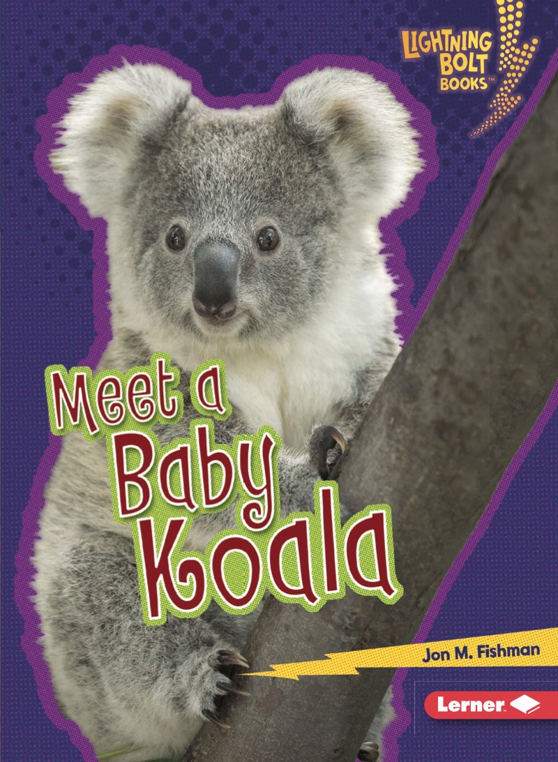 Meet a Baby Koala book cover
