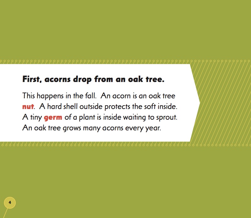 From Acorn to Oak Tree — page 1