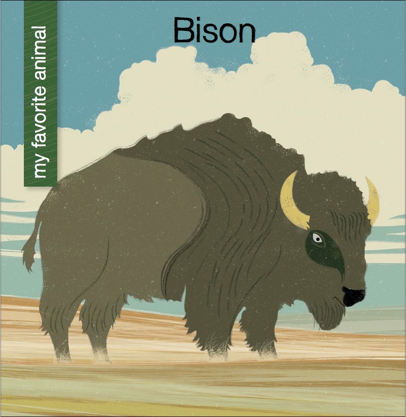 Bison book cover