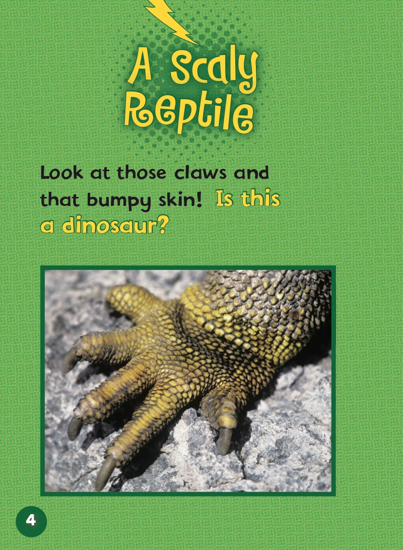 Let's Look at Iguanas — page 1