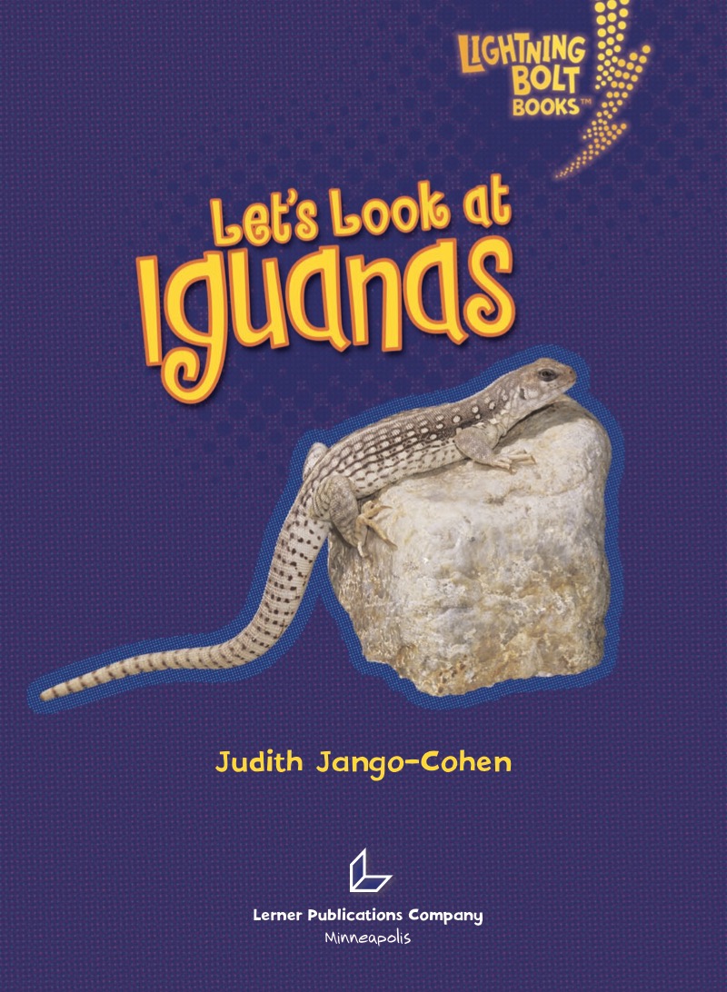Let's Look at Iguanas book cover