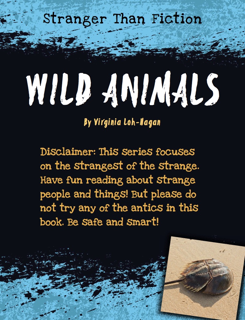 Wild Animals book cover
