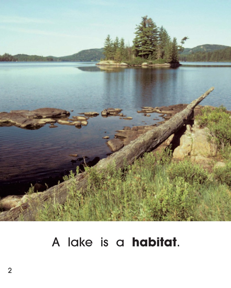 What Can Live in a Lake? — page 1