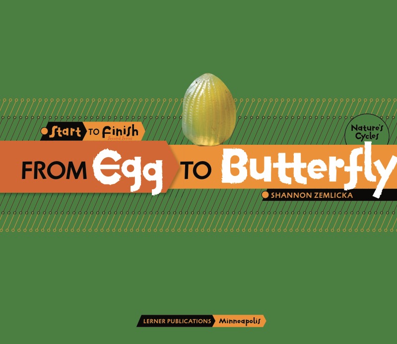 From Egg to Butterfly book cover
