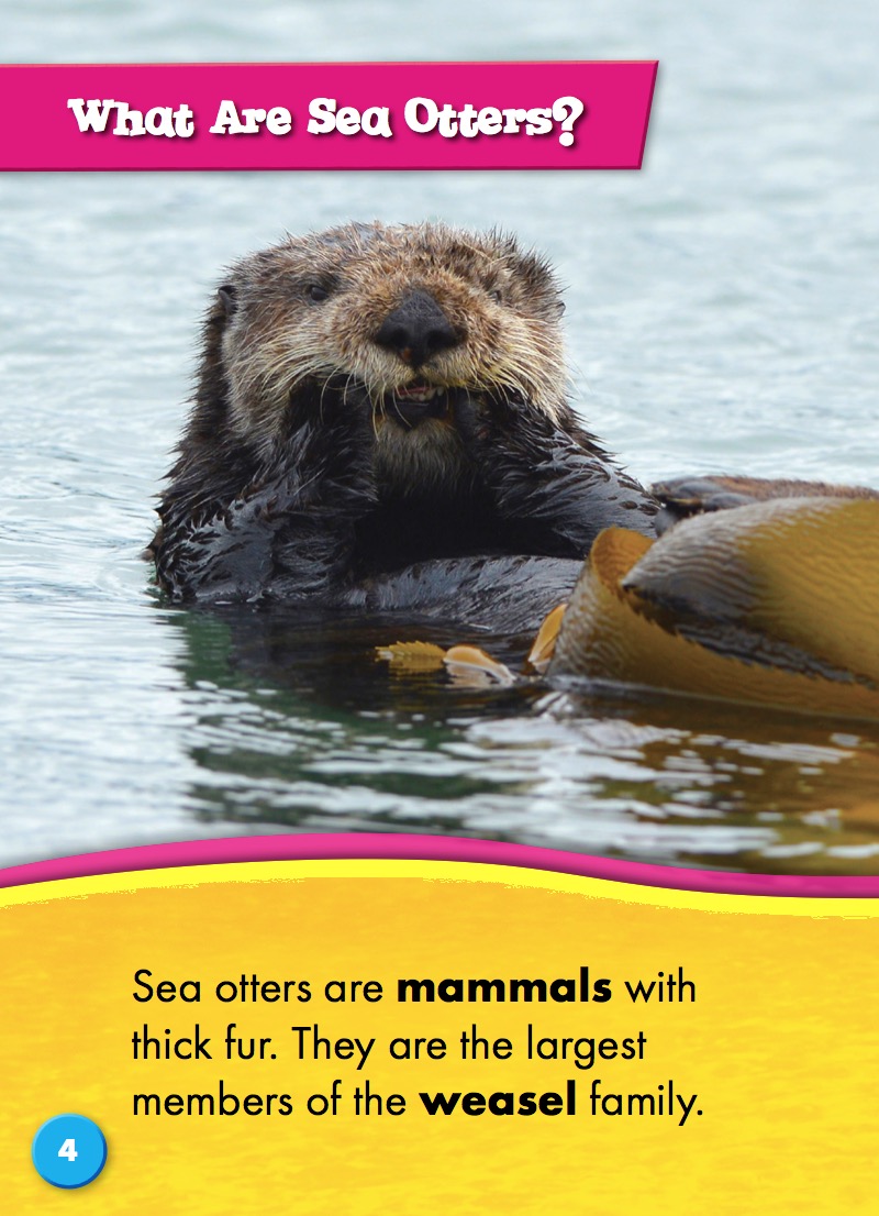Ocean Life Up Close: Sea Otters — page 1