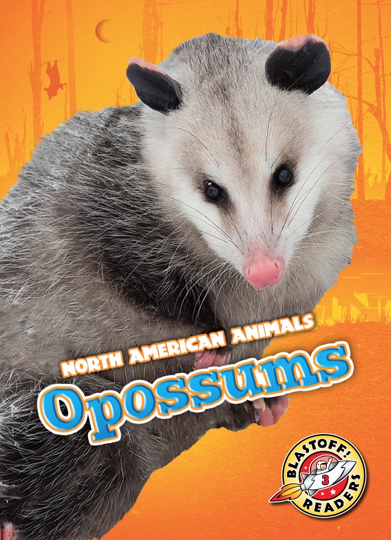North American Animals: Opossums book cover