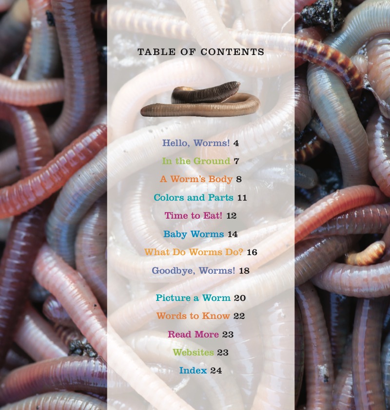 Worms book cover