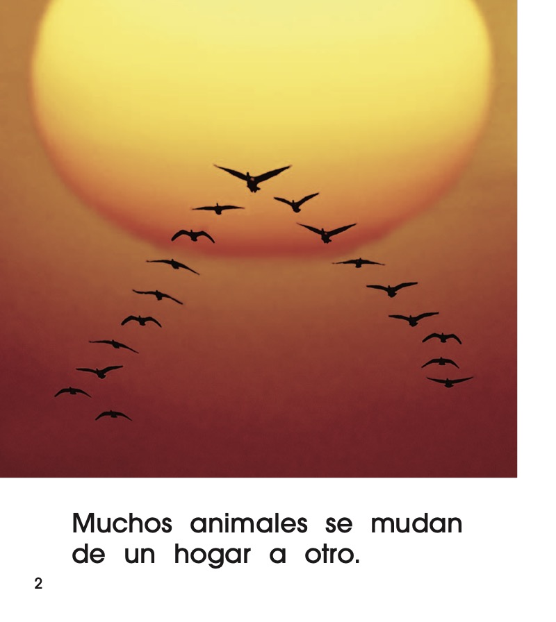 Migración (Migration) — page 1