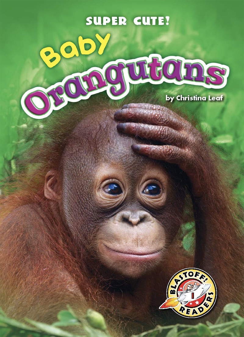 Super Cute! Baby Orangutans book cover
