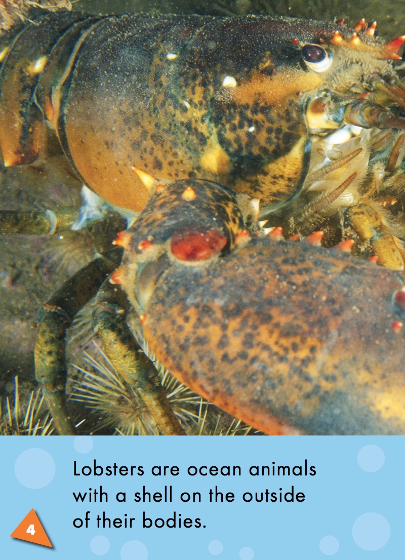 Lobsters — page 1
