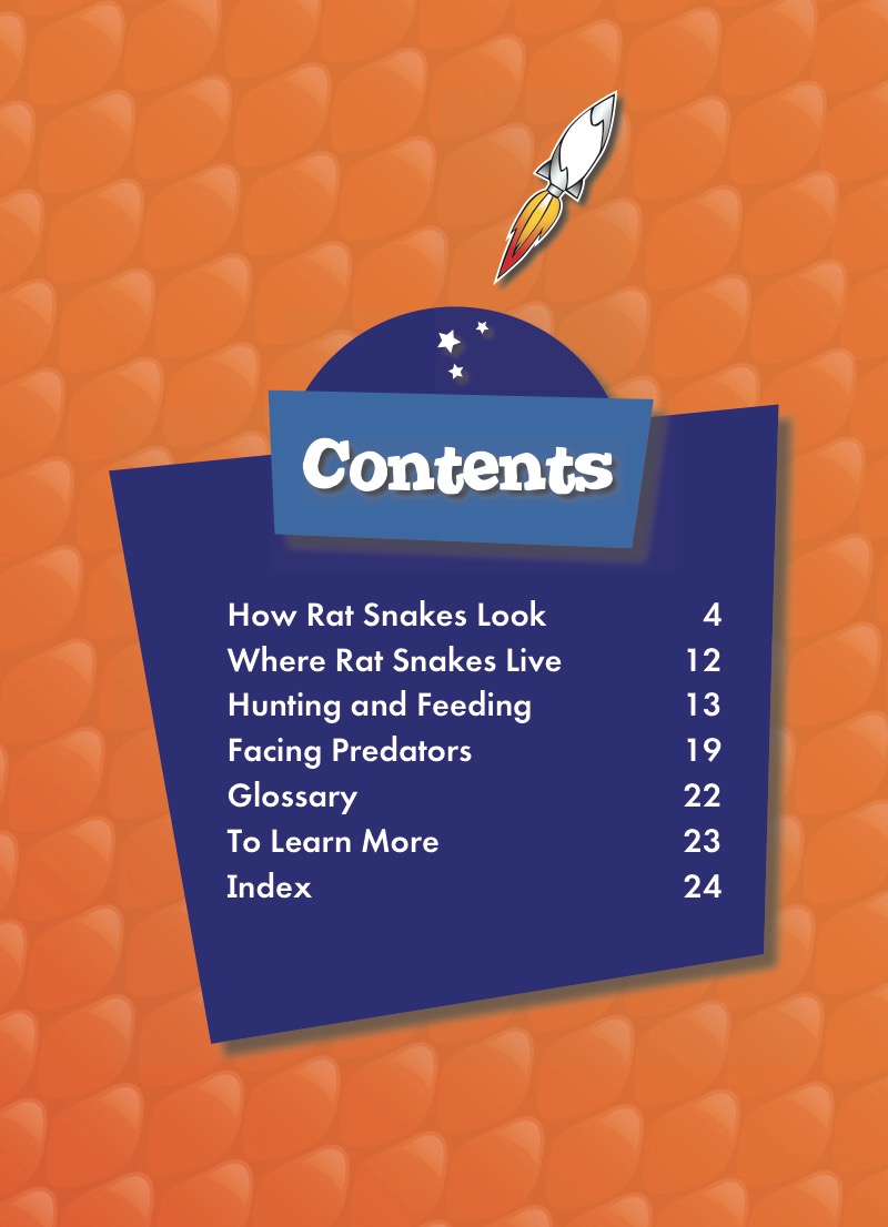 Rat Snakes book cover
