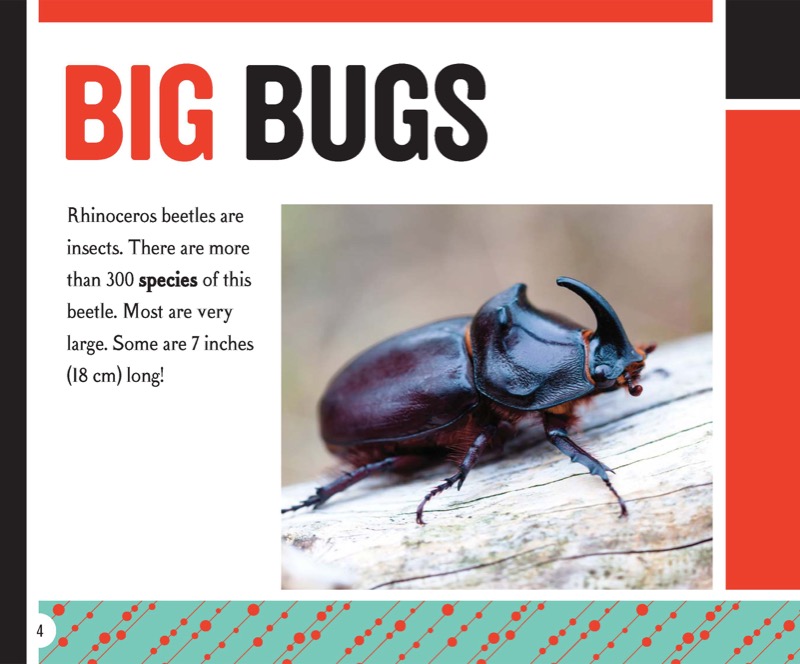Rhinoceros Beetle: Heavyweight Champion — page 1