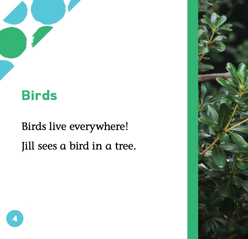 Birds — page 1