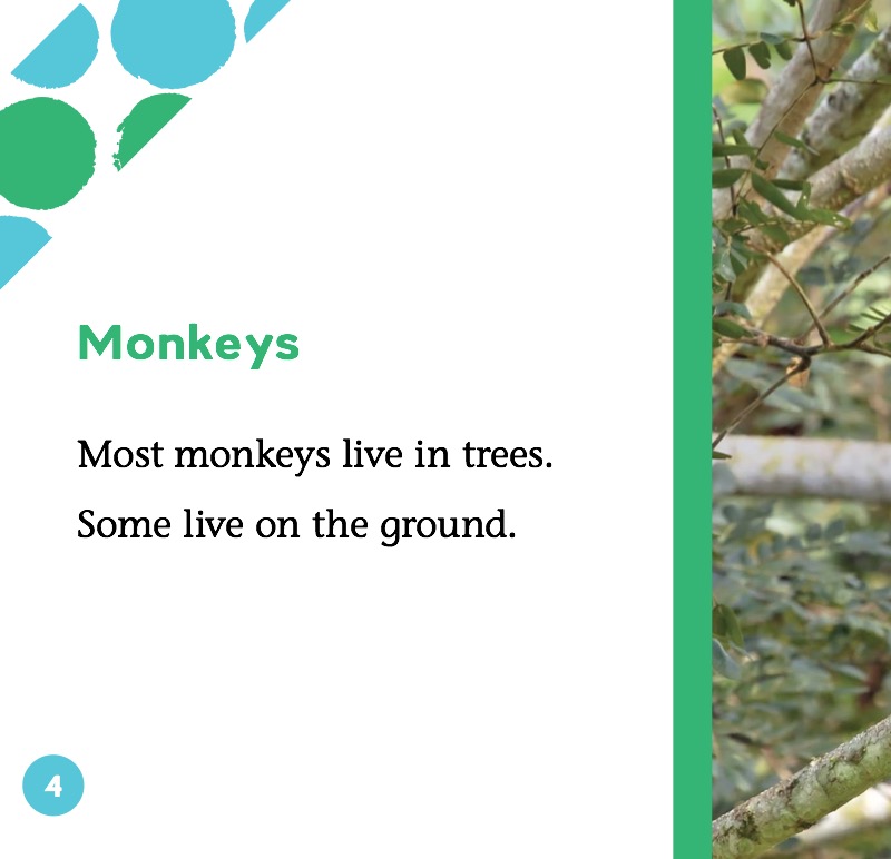 Monkeys — page 1