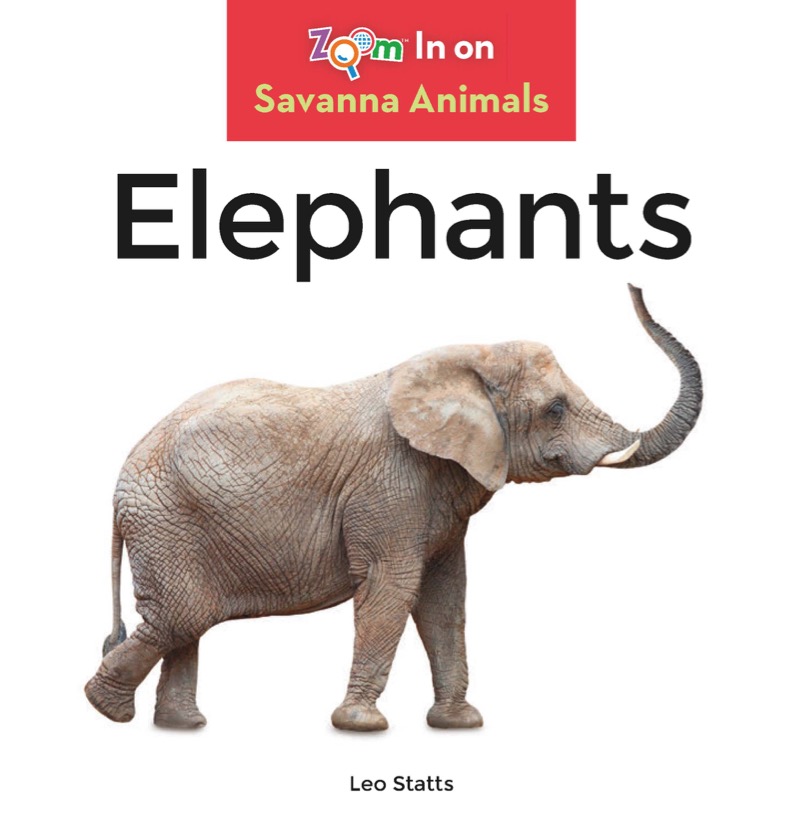 Elephants book cover