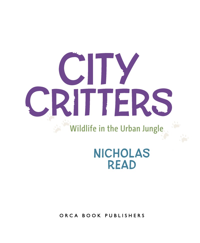 City Critters book cover
