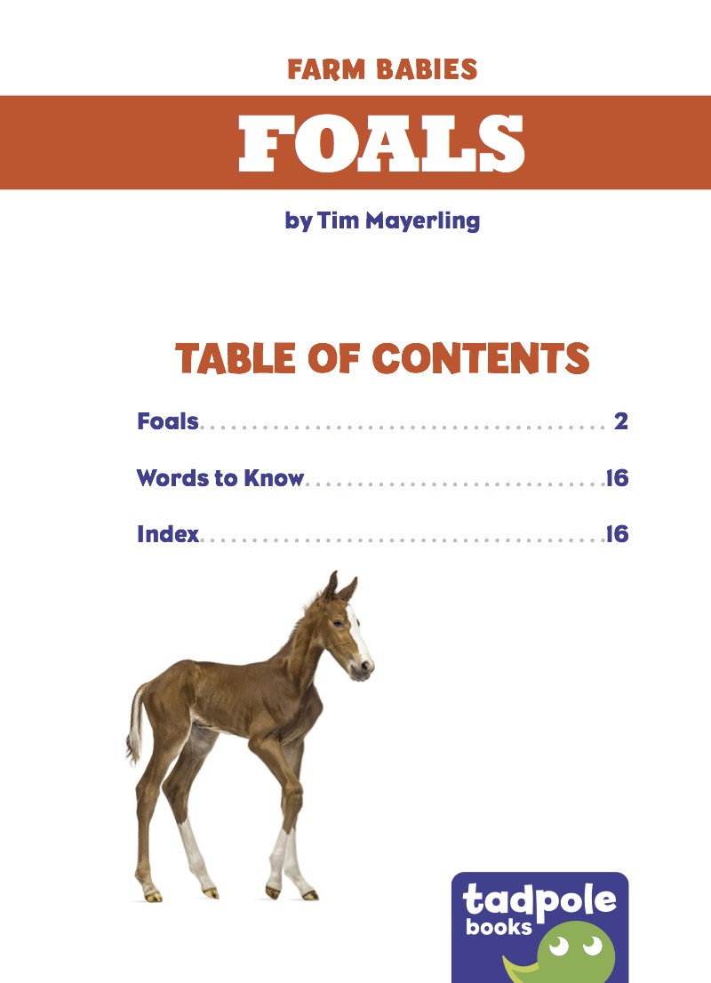 Foals book cover