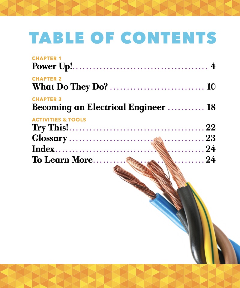 Electrical Engineer book cover