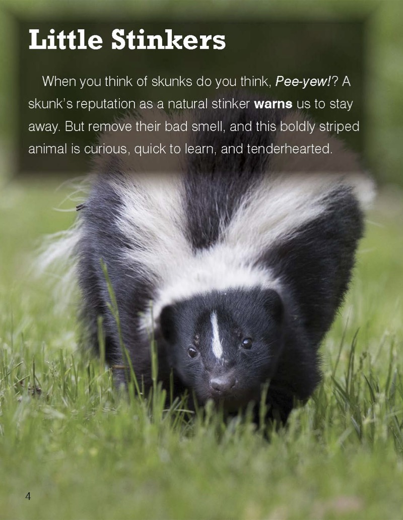 Skunk — page 1