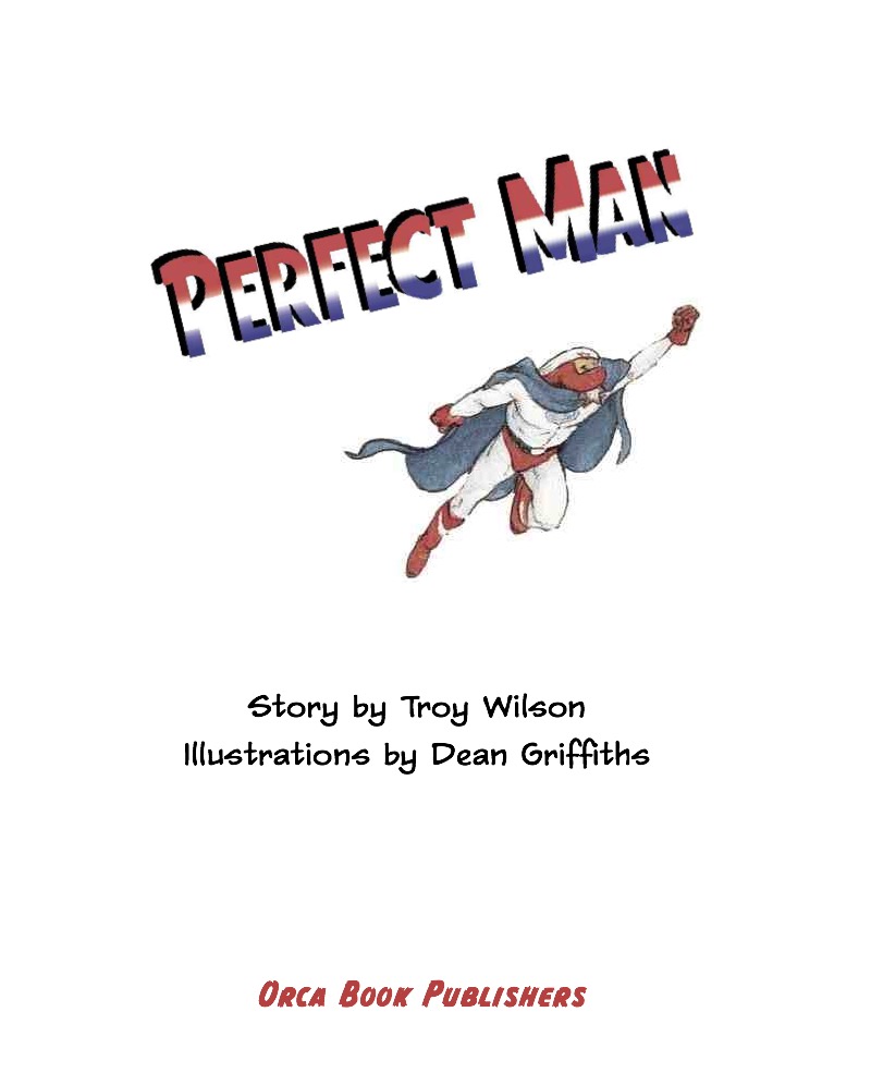 Perfect Man book cover