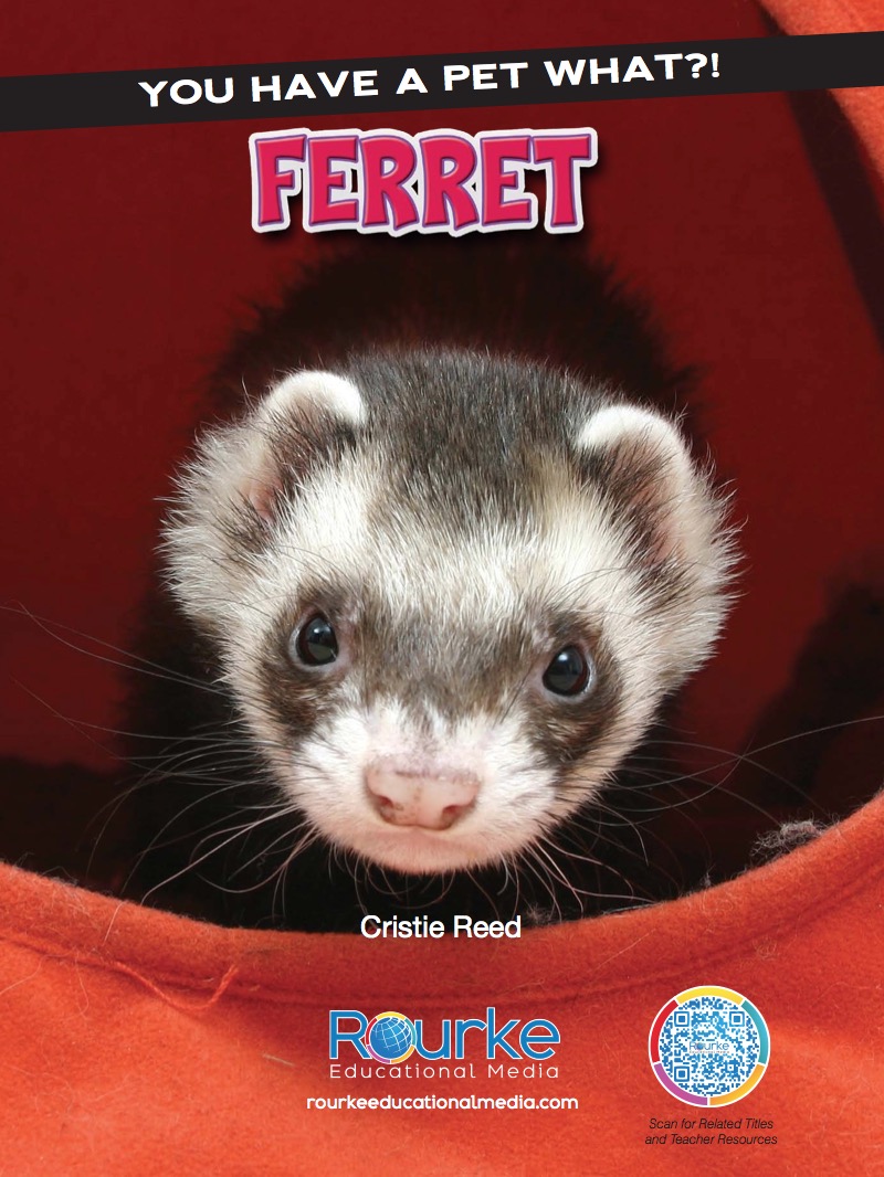 Ferret book cover