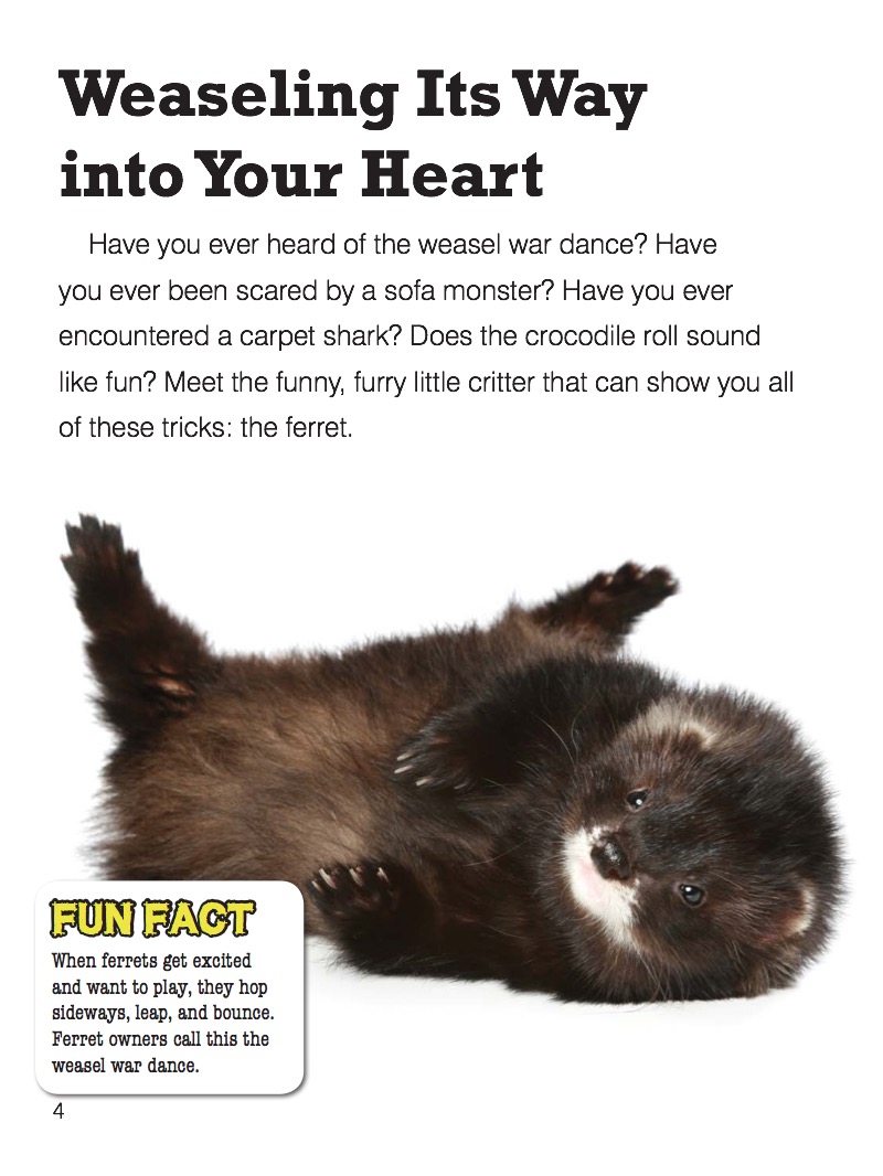 Ferret — page 1