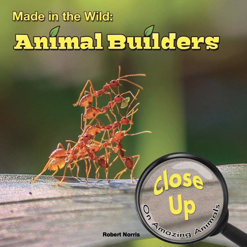 Made in the Wild: Animal Builders book cover